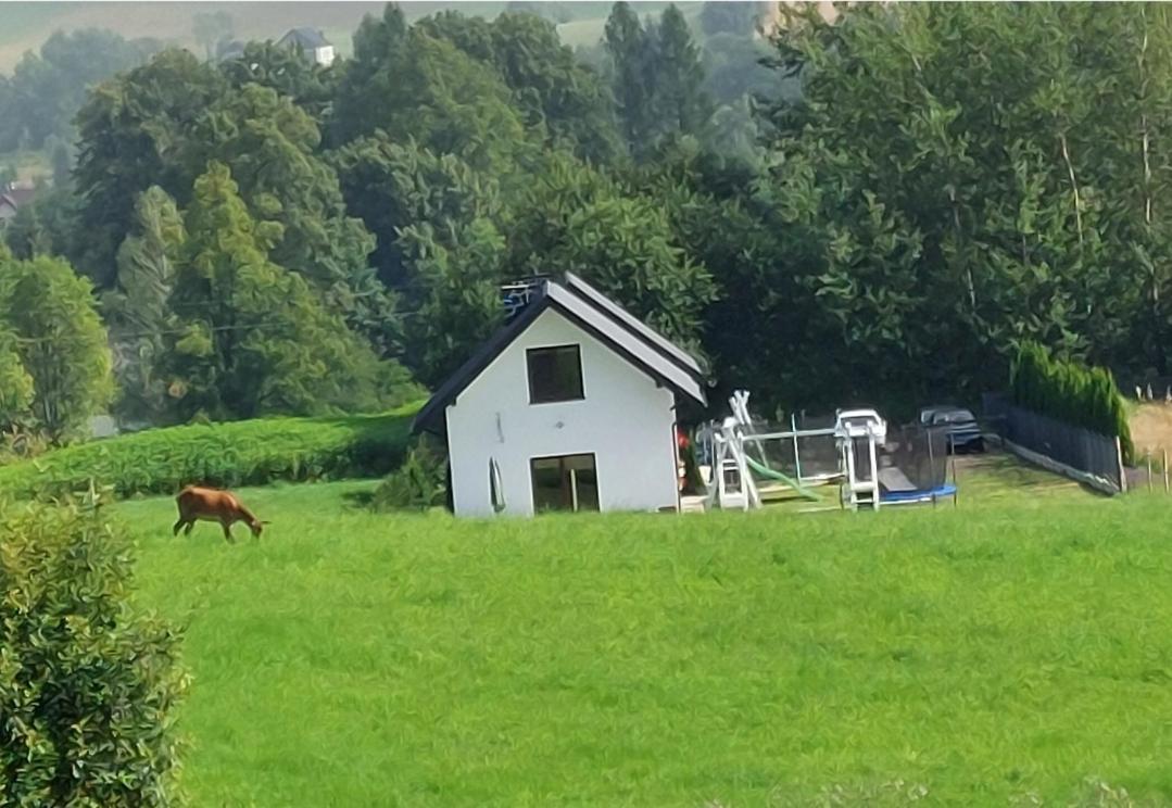Pod Holica 2 Bieszczady Ustrzyki Dolne