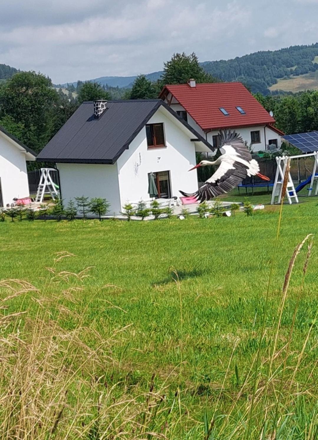 Pod Holica 2 Bieszczady Lodge